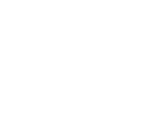 Фабрика KS